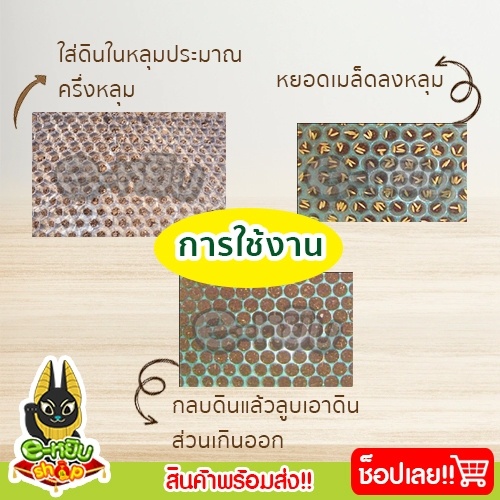 ถาดเพาะกล้า-ถาดเพาะกล้านาโยน-ถาดเพาะข้าว-434-หลุม-เกรด-a