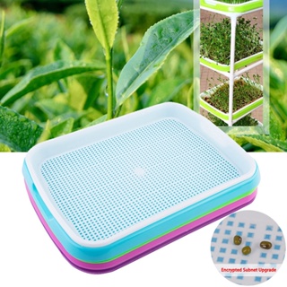 【AG】Sprouting Tray Holder Soil-free Planter Pot Hydroponic Container