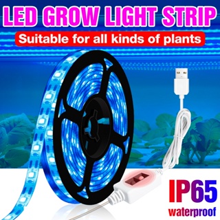 เทปหลอดไฟ LED สเปกตรัมเต็มรูปแบบแถบไฟ USB ในร่มโคมไฟไฮโดรโปนิกมือกวาดสวิตช์หรี่แสงได้ริบบิ้นยืดหยุ่น