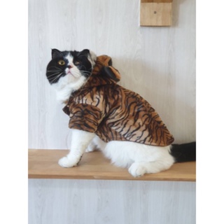Pet cloths -Doggydolly winter collection เสื้อผ้าแฟชั่น เสื้อผ้าสัตว์เลี้ยง เสื้อผ้าหมาแมว เสื้อหนาว เสื้อฮู้ด  DF022-N