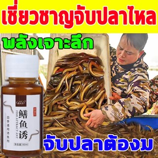 ราคาและรีวิวหัวเชื้อตกปลาไหลนา (60ML) ล่อปลาไหล ดึงดูดปลา จับปลาไหลเร็ว สำหรับปลาไหล สิ่งล่อใจที่แข็งแกร่ง รวมเหยื่อล่อแ ปลาไหล