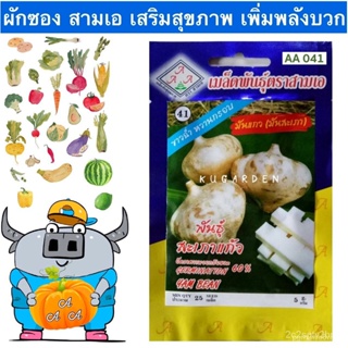 ผลิตภัณฑ์ใหม่ เมล็ดพันธุ์ เมล็ดพันธุ์คุณภาพสูงในสต็อกในประเทศไทย พร้อมส่ง ะให้ความสนใจของคุณAAA  ผักซอง สามเอ A0 ค/เ Y0W