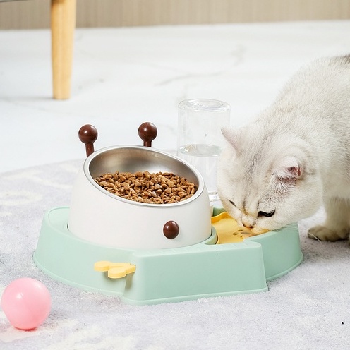 ชามอาหารสัตว์-ชามอาหารแมว-ชามอาหารสุนัข-cat-food-bowl-ชามหมา-ชามแมว-ถ้วยอาหารแมว-ถ้วยใส่อาหารแมว-วัสดุpp-จานข้าว-ราคาถูก