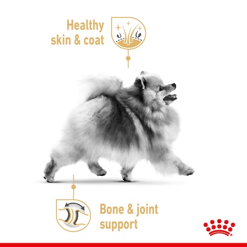 royal-canin-pomeranian-adult-500-g-อาหารสุนัข-สายพันธุ์-ปอม