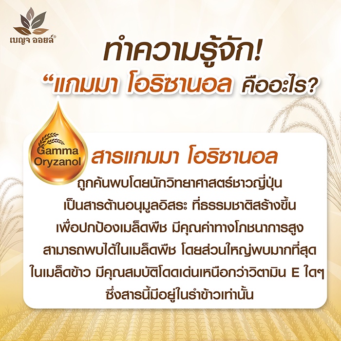 ภาพสินค้าBENJA OIL Rice Bran Oil Plus น้ำมันรำข้าวสกัดธรรมชาติ Vitamin E สูง 7 กระปุก จากร้าน rsmallofficial บน Shopee ภาพที่ 6