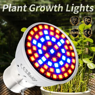 LED B22 Hydroponic Grow Light E27 พืช Grow หลอดไฟ MR16 Full Spectrum UV 220V เรือนกระจก E14ต้นกล้า GU10