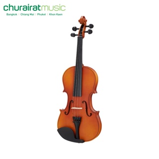 Violin : Custom MTV-1S ไวโอลิน by Churairat Music