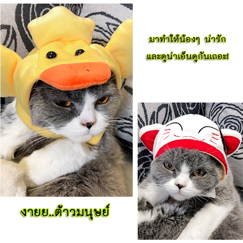 bn-079-หมวกแมว-สุนัข-หมา-หมวกสัตว์เลี้ยง-คลุมหัวสัตว์-ชุดแมว-พร้อมส่ง