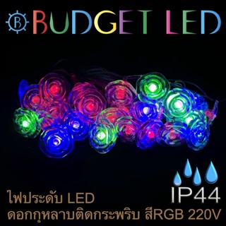 LED Fancy, ไฟประดับตกแต่ง สี RGB แฟนซีแบบกระพริบ หลากหลายรูปทรง 220VAC IP44 (ราคาต่อ 5 เมตร)