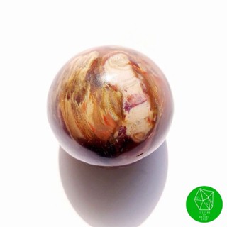 ไม้กลายเป็นหิน (Petrified wood) ทรงกลม