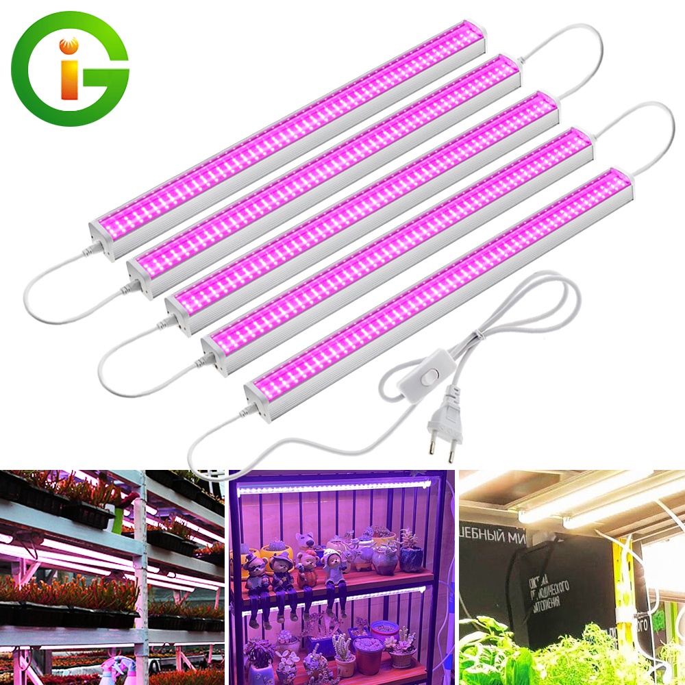 AC220V Full Spectrum LED Grow Light ไฟบอกว่าบาร์ปลูกต้นไม้ 6แถว 1000W