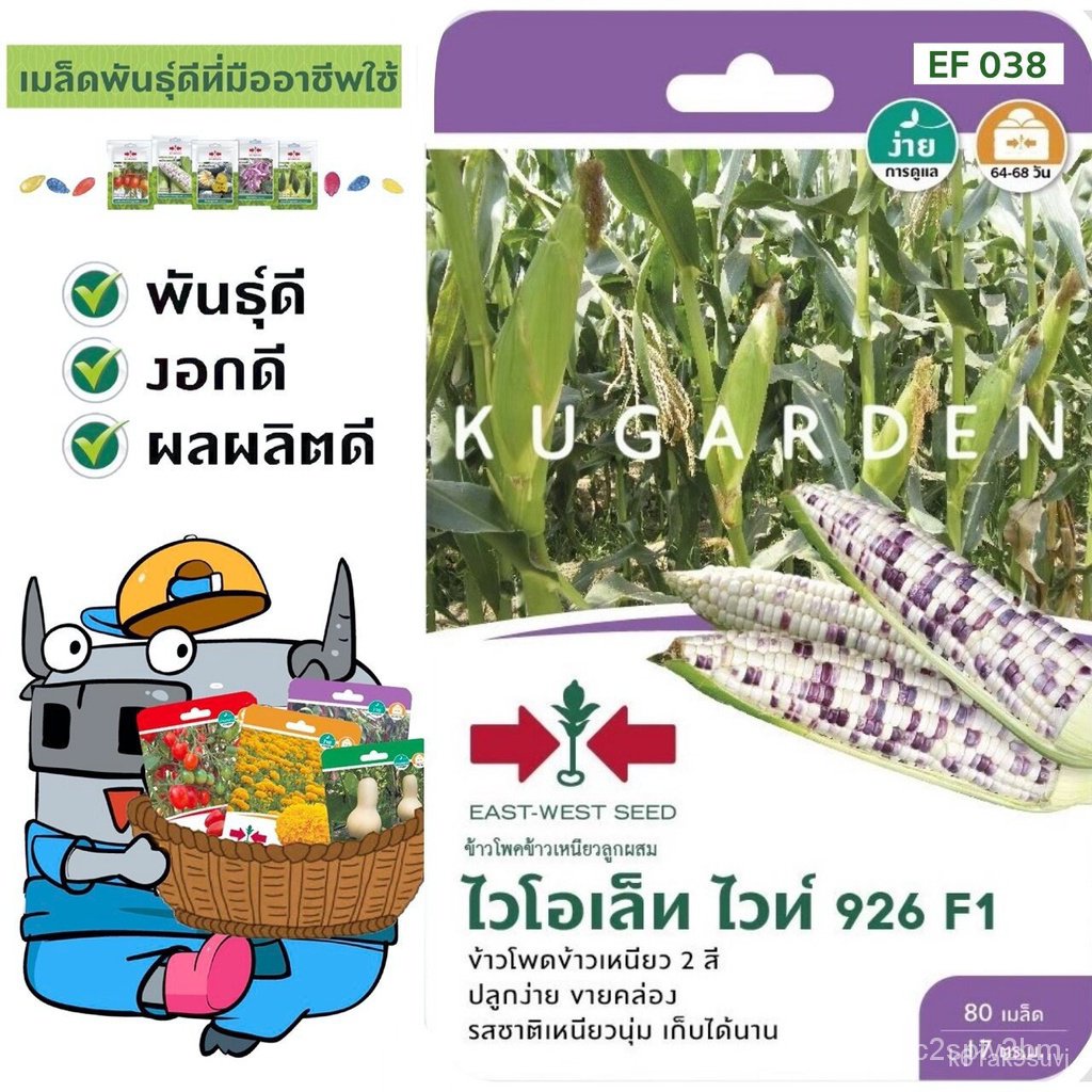 ผลิตภัณฑ์ใหม่-เมล็ดพันธุ์-เมล็ดพันธุ์คุณภาพสูงในสต็อกในประเทศไทย-พร้อมส่งsorndaeng-ผักซอง-ศรแดง-s038-ข้าวโพดข้-ขายด-xz
