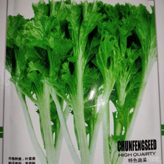 ผลิตภัณฑ์ใหม่ เมล็ดพันธุ์ จุดประเทศไทย ❤Chinese Royal Coriander Parsley Vegetable Seeds ( 1000 seeds ) - Basic Far/เ C8M