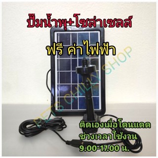 ปั๊มน้ำพุ โซล่าเซลล์ pump with solar cell