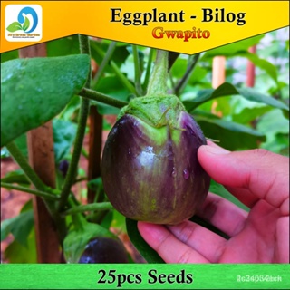 ผลิตภัณฑ์ใหม่ เมล็ดพันธุ์ จุดประเทศไทย ❤(Bilog na Talong) Eggplant - Hybrid (1pack) - 25pcs seedsเมล็ดอวบอ้วน 10/ขายดี X