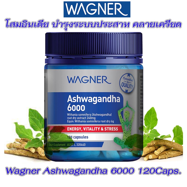 wagner-ashwagandha-6000-120-capsules-โสมอินเดีย-ฟื้นฟูร่างกาย-เพิ่มพลังสมอง-ลดความตรึงเครียดของเส้นประสาท-ช่วยผ่อนคลาย