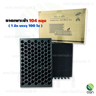 (ยกลัง/ 100 ใบ) ถาดเพาะชำ 104 หลุม มีขอบ หนา PS 70 mc. เกรดA ถาดเพาะ Seeding Tray