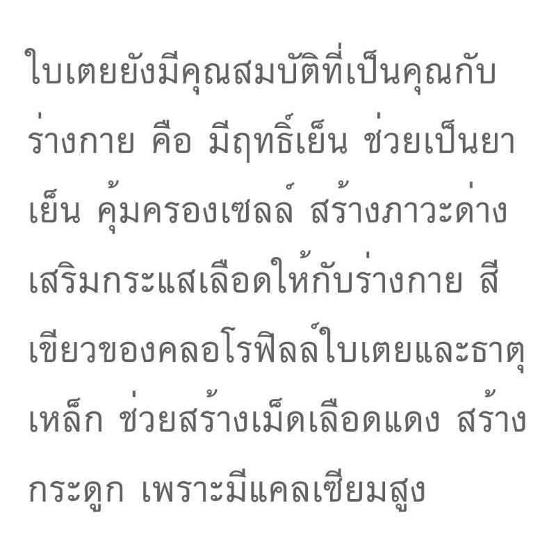 ต้นเตยหอมพันธุ์เตยหอมชุด10ต้น