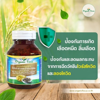 ภาพขนาดย่อของภาพหน้าปกสินค้าOrganicfocus น้ำมันรำข้าว และน้ำมันงาม่อน 60 เม็ด 1,000 มิลลิกรัม/เม็ด ดีที่สุดอันดับ 1 *ราคาพิเศษ* จากร้าน organicfocus บน Shopee