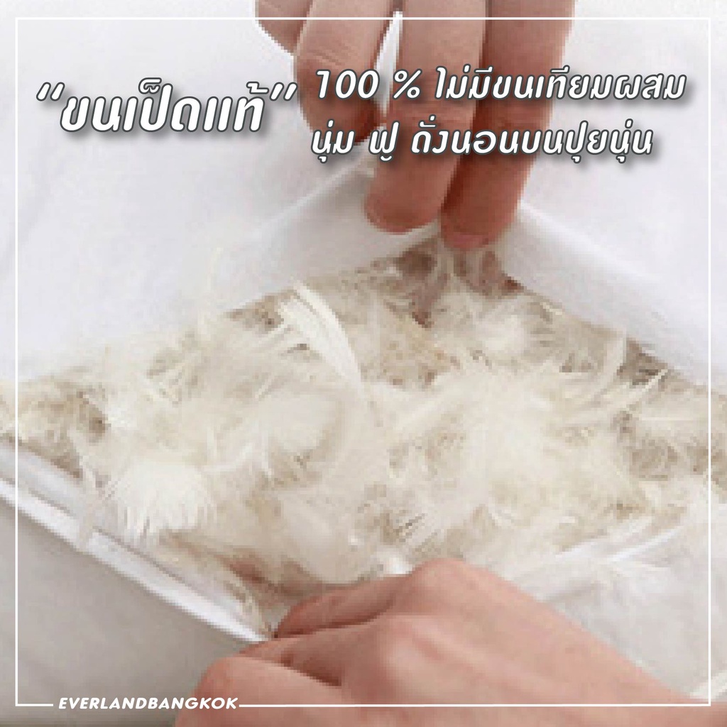Everland รุ่น หมอนขนเป็ดแท้ 100% ขนาด 50x70 ซม. หมอนสุขภาพกันไรฝุ่นมาตรฐานโรงแรม 5 ดาว เพื่อการนอนหลับที่เหนือระดับ