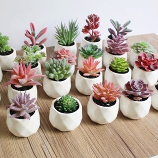 【AG】1Pc Artificial Flower Succulent Plant Bonsai DIY Garden Office Home Party Decor