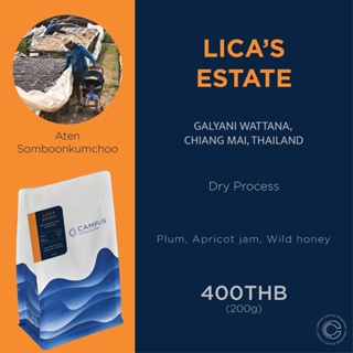 เมล็ดกาแฟ Licas estate (Dry process) กัลยาณิวัฒนา, เชียงใหม่ 200 กรัม (คั่วอ่อน)