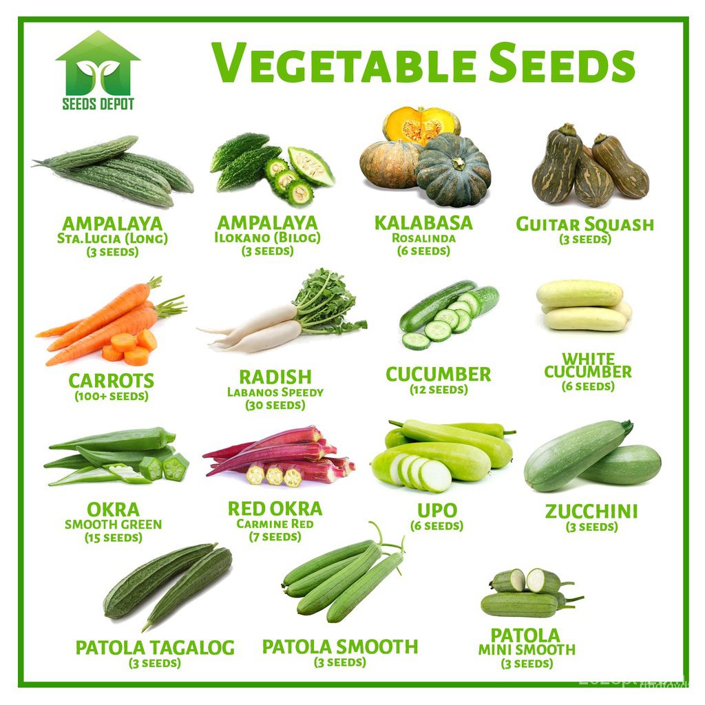 ผลิตภัณฑ์ใหม่-เมล็ดพันธุ์-จุดประเทศไทย-vegetable-seeds-ampalaya-carrots-kalabasa-okra-radish-cucumber-patola-สวนครัว