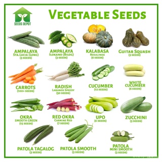 ผลิตภัณฑ์ใหม่ เมล็ดพันธุ์ จุดประเทศไทย ❤Vegetable Seeds - Ampalaya Carrots Kalabasa Okra Radish Cucumber Patola /สวนครัว