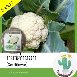 ผลิตภัณฑ์ใหม่ เมล็ดพันธุ์ เมล็ดพันธุ์ กะหล่ำดอก (Cauliflower) Dueo/ผักสลัด็ดด/อินทรีย์ LXQZ