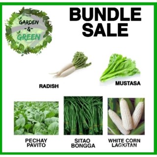 ผลิตภัณฑ์ใหม่ เมล็ดพันธุ์ จุดประเทศไทย ❤5in1 Vegetable seeds Bundle Saleเมล็ดอวบอ้วน 100% รอคอยที่จะให้ความสนใจ /ดอก UE9