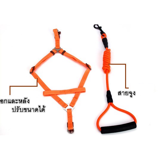 bn-265-สายรัดอก-สายจูงสัตว์เลี้ยง-สุนัข-แมว-หมา-เสื้อรัดอก-ปลอกคอ-ปรับได้-แข็งแรง-ราคาถูก-พร้อมส่ง