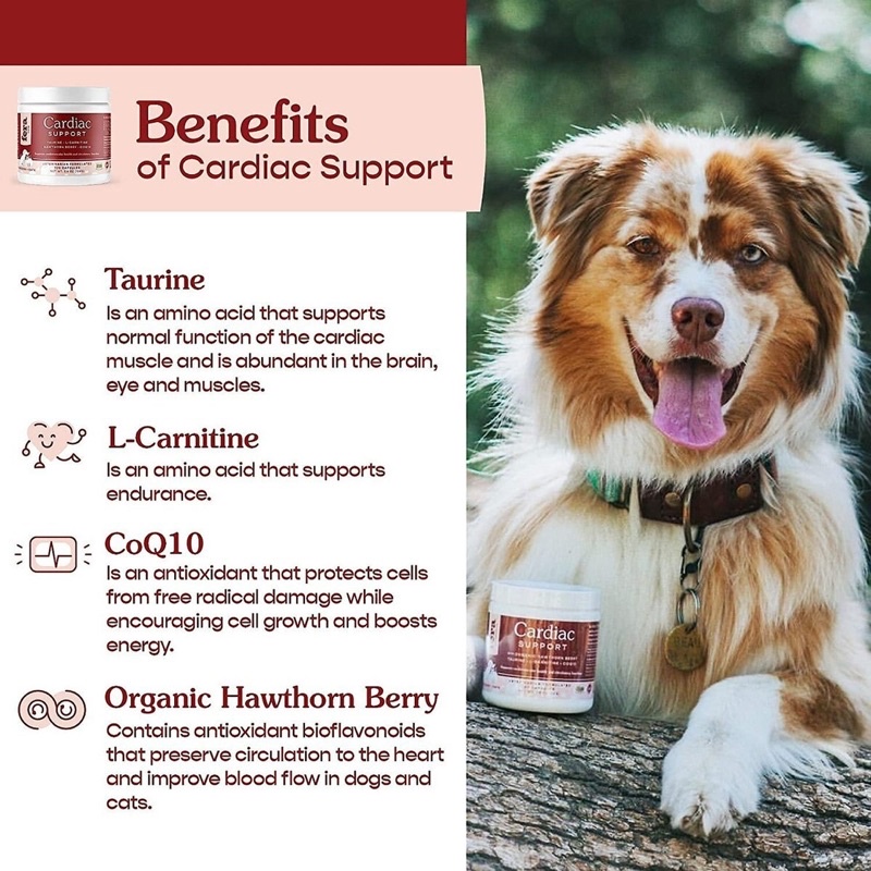 อาหารเสริมสุนัขและแมว-fera-pet-organics-cardiac-support-for-dogs-and-cats-ขนาด-60-capsules