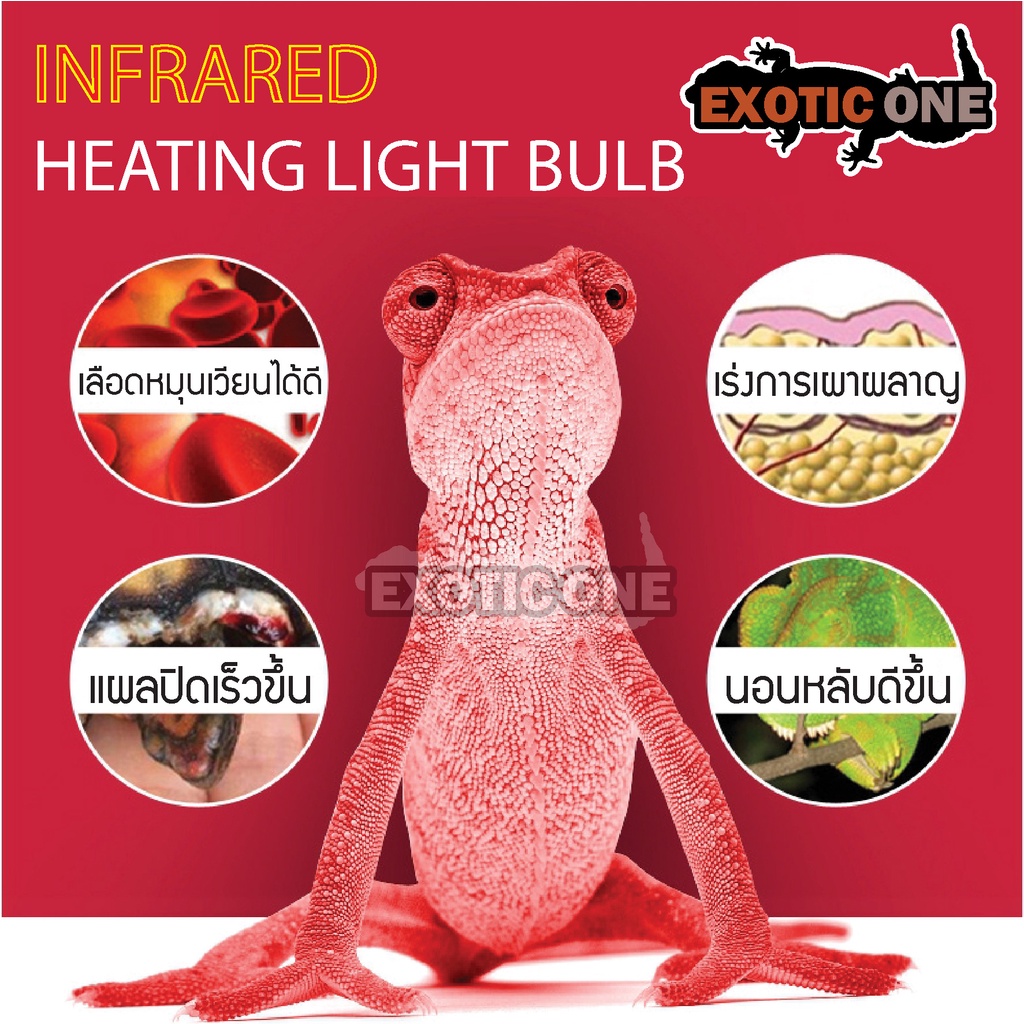 หลอดอินฟราเรด-infrared-หลอด-uv-ให้ความร้อน-สำหรับงู-สัตว์เลื้อยคลาน