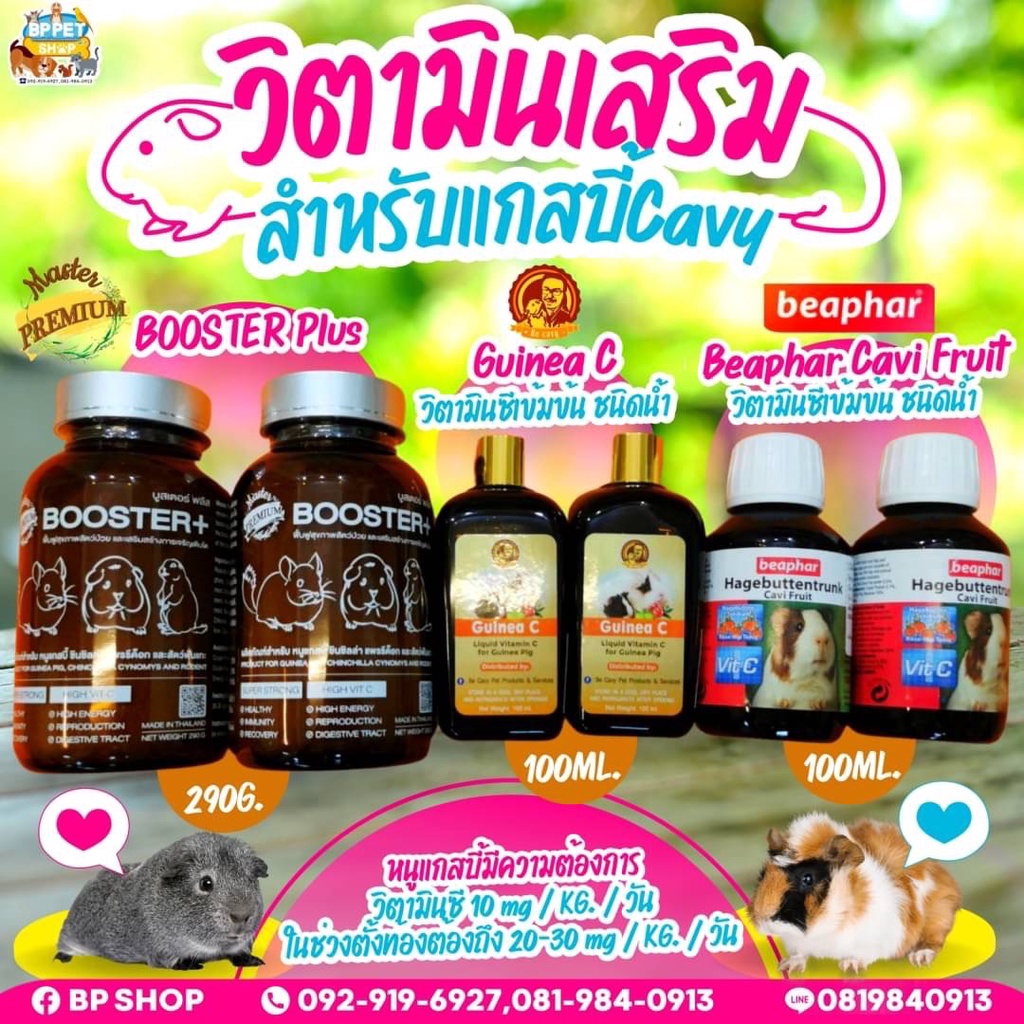 bp-shop-วิตามินซีหนูแกสบี้-แถมฟรี-ดรอปเปอร์-วิตามินซีแบบน้ำ-วิตามินซีหนูแกสบี้-อาหารเสริมสำหรับสัตว์ฟันแ