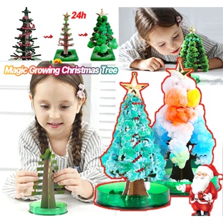 พร้อมส่ง🎄ต้นคริสต์มาส DIY Magic Growing Christmas Tree ต้นคริสต์มาสวิเศษ ของเล่น ของขวัญคริสต์มาส
