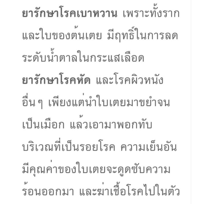 ต้นเตยหอมพันธุ์เตยหอมชุด10ต้น