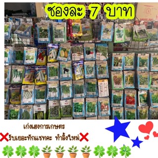 เมล็ดผัก ลิ้งนี้คละซอง 50ซอง#พร้อมส่ง🌱🌱🌱🚚🚚 รับเยอะทักแชทคะ🌹