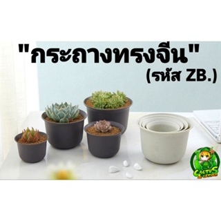 (รหัสZB.) กระถางทรงจีน ทรงเตี้ย กระถางแคคตัสกระบองเพชร ไม้อวบน้ำ