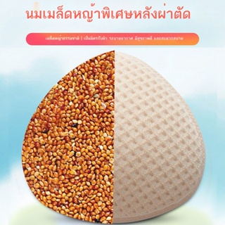 ✑❉♟Grass seed breast prosthesis bra เต้านมศัลยกรรมเต้านมพิเศษ pads แต่งหน้าสำหรับ bra หน้าอกปลอมผู้หญิงน้ำหนักเบาชุดชั้น