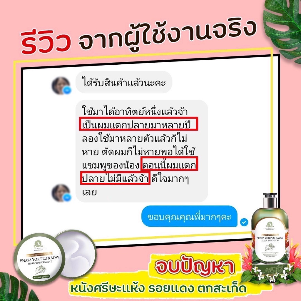 ทรีทเม้นท์พญายอ-อัญญา-พลูคาว-ครีมนวดผม-บำรุงเส้นผม-แก้คัน-ลดรังแค-เชื้อรา-ผมงอก-ผมร่วง-ก่อนวัยอันควร-ผมแห้งเสีย-แตกปลาย