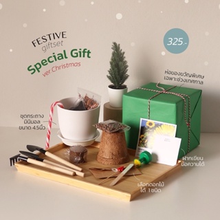 ชุดปลูกSpecial Gift ver.Christmas  *festive giftset เฉพาะเทศกาล*