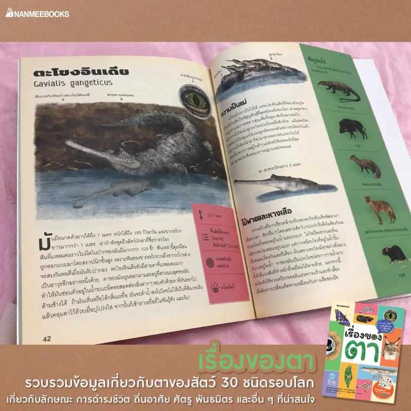 nanmeebooks-เรื่องของไข่-เรื่องของตา