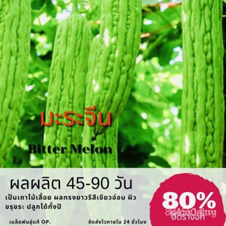 ผลิตภัณฑ์ใหม่ เมล็ดพันธุ์ เมล็ดพันธุ์คุณภาพสูงในสต็อกในประเทศไทย พร้อมส่ง ะให้ความสนใจของคุณเมล็ดอวบอ้วน มะระจี /ขายด AM