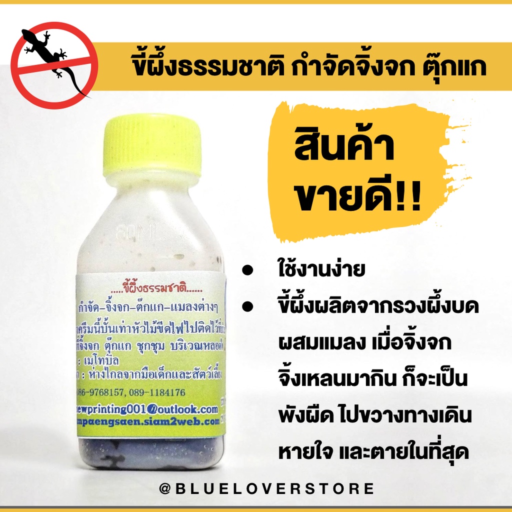 ราคาถูก-ส่ง-เหยื่อกำจัดจิ้งจก-ตุ๊กแก