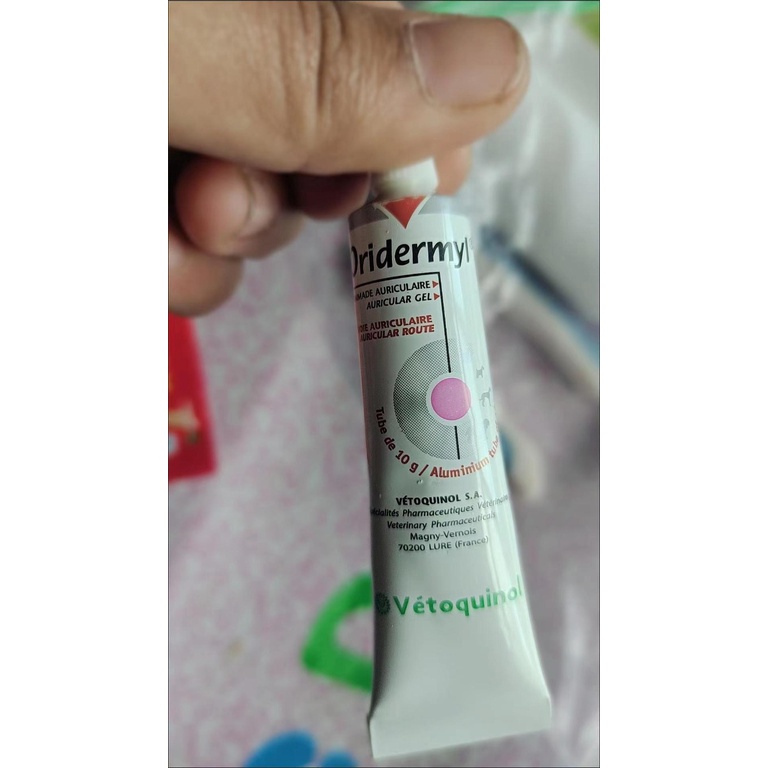 ภาพหน้าปกสินค้าพร้อมส่ง   Oridermyl Auricular Ointment หยอดหู แบคทีเรีย ยีสต์ ไรหู สำหรับสุนัขและแมว ขนาด 10 g Exp. 05/2024 จากร้าน kx87ck9q8h บน Shopee