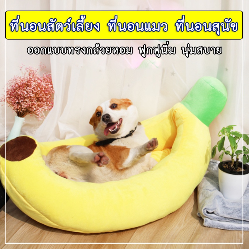 bn-246-ที่นอนสัตว์เลี้ยง-ที่นอนกล้วย-ที่นอน-banana-pที่นอนสัตว์เลี้ยง-ที่นอนกล้วย-ที่นอน-banana