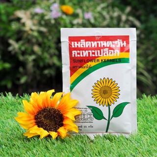 เมล็ดทานตะวัน 25 กรัม (5 ซอง/แพ็ค) Roasted Sunflower Kernels with salt 25 g. (5 pieces/pack)