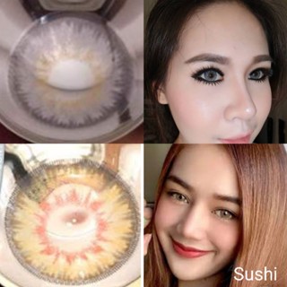 คอนแทคเลนส์ บิ๊กอาย รุ่น Sushi สีเทา/ตาล Gray/Brown มีค่าสายตา (0.00)-(-6.50)