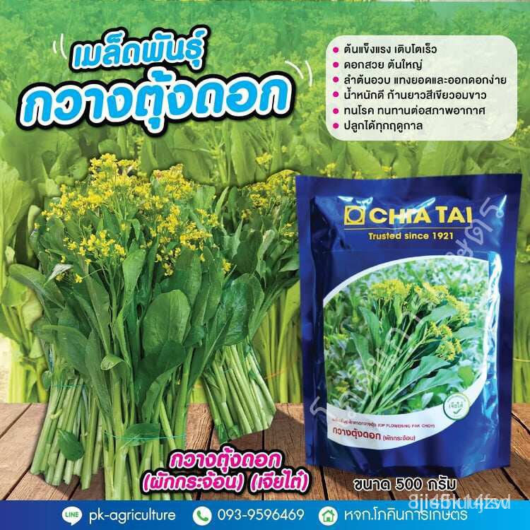 ผลิตภัณฑ์ใหม่-เมล็ดพันธุ์-เมล็ดพันธุ์คุณภาพสูงในสต็อกในประเทศไทยเมล็ดอวบอ้วนกวางตุ้งดอก-ผักกระจ้อน-เจียไต๋-ข-ขายดี-p
