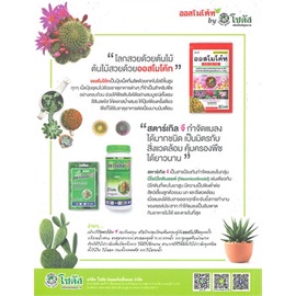 หนังสือ-รู้ทันโรคและศัตรูแคคตัส-cactus-diseasesฯ-ผู้แต่ง-ดร-สรินนา-อ่ำรุ่ง-สนพ-บ้านและสวน-หนังสือบ้านและสวน